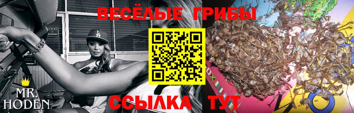 Псилоцибиновые грибы Magic Shrooms Сокол
