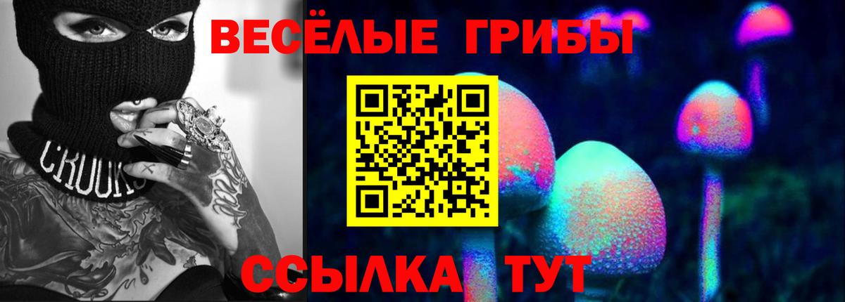 купить  цена  Галлюциногенные грибы Cubensis  Вход с VPN  Псилоцибиновые грибы прущие грибы  Сокол 